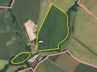 Prodej plantáže rychle rostoucích dřevin – Soběchleby (Přerov)