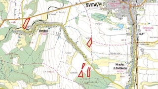 Prodej plantáže rychle rostoucích dřevin – Vendolí (Svitavy)