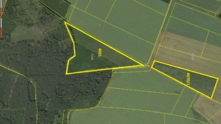 Prodej plantáže rychle rostoucích dřevin – Vendolí (Svitavy)