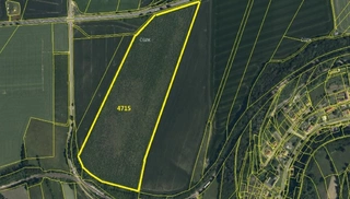 Prodej plantáže rychle rostoucích dřevin – Vendolí (Svitavy)