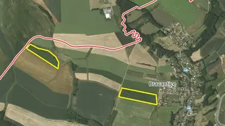 Prodej souboru plantáží rychle rostoucích dřevin Bravantice, Stachovice, Heřmánky nad Odrou (okres Nový Jičín)