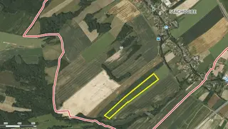 Prodej souboru plantáží rychle rostoucích dřevin Bravantice, Stachovice, Heřmánky nad Odrou (okres Nový Jičín)