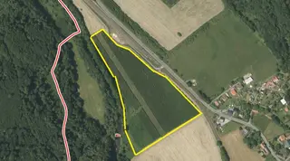 Prodej souboru plantáží rychle rostoucích dřevin Bravantice, Stachovice, Heřmánky nad Odrou (okres Nový Jičín)