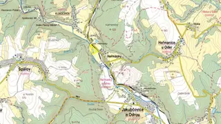 Prodej souboru plantáží rychle rostoucích dřevin Bravantice, Stachovice, Heřmánky nad Odrou (okres Nový Jičín)