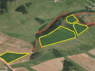 Prodej souboru plantáží rychle rostoucích dřevin – (10 samostatných lokalit) - okres Trutnov