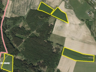 Prodej souboru plantáží rychle rostoucích dřevin – (10 samostatných lokalit) - okres Trutnov