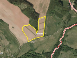 Prodej souboru plantáží rychle rostoucích dřevin – (10 samostatných lokalit) - okres Trutnov