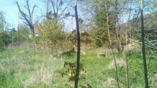 RD Borovnice, okr. Benešov