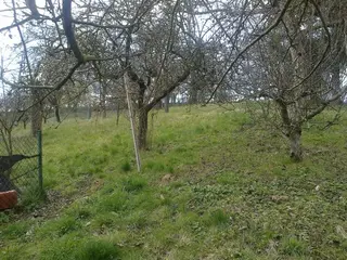 RD Český Brod, okres Kolín