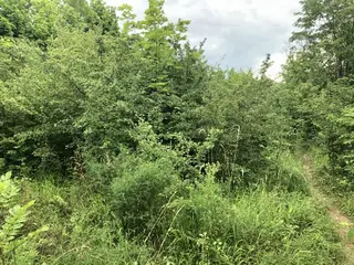 RD Český Brod, okres Kolín