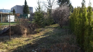RD Chrudim, ul. Česká