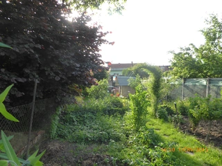 RD Dobromilice