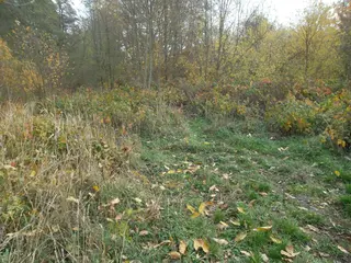 RD Dolní Vysoké I, okres Litoměřice