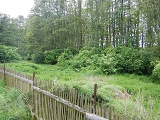 RD Dubnice pod Ralskem, okres Česká Lípa