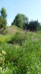 RD Hněvotín