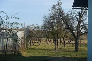 RD Kleny, obec Provodov-Šonov, okres Náchod