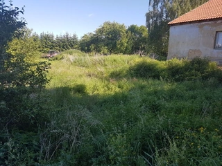 RD Kunčina