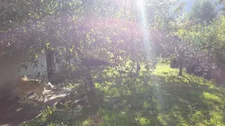 RD Mladějov na Moravě, okres Svitavy