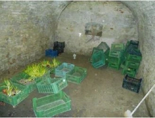 RD Moravská Nová Ves