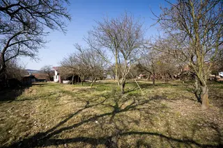 Spoluvlastnický podíl id. 1/4 RD Olšovec, okres Přerov