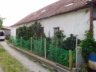 RD Ořechov, ul. Pavlíkova