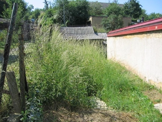RD Rakovník