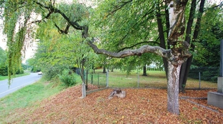 RD Skřečoň Bohumín 2.kolo