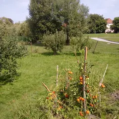 RD Temelín