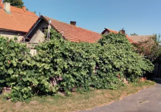 RD Turkovice u Přelouče, okres Pardubice