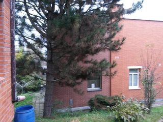RD Zlín, ul. Dolní