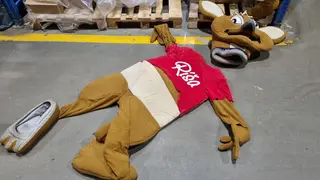 RM 113 Maskot klokan Ríša