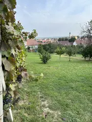 RD Velké Pavlovice 