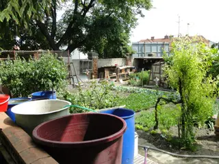 Rodinný dům a podíl na sousedním domě Velké Pavlovice, okres Břeclav 