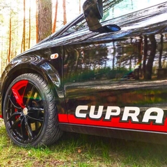 SEAT Leon CUPRA 2.0 TFSI - TUNING !!!
