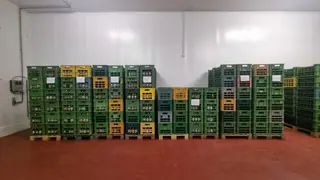 SO 11 - Výrobní linka a technologie na zpracování sójových bobů a výrobu produktů ze sójových bobů