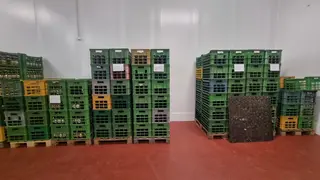 SO 11 - Výrobní linka a technologie na zpracování sójových bobů a výrobu produktů ze sójových bobů