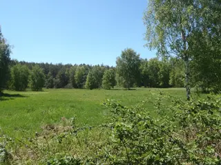 Soubor pozemků 773.724 m2 v Libereckém a Ústeckém kraji, Státní statek Česká Kamenice