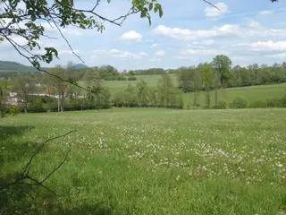 Soubor pozemků 773.724 m2 v Libereckém a Ústeckém kraji, Státní statek Česká Kamenice
