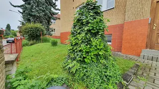 Soubor pozemků v Praze 5 - Hlubočepy a Košíře