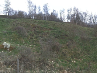 Spoluvl. podíl 1/2 na pozemcích 19.502 m2, Vacov, k.ú. Žár u Čkyně