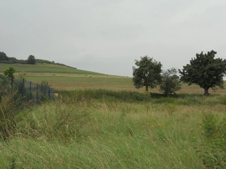 Spoluvl. podíl 2/9 pozemků Bystřany-Světice