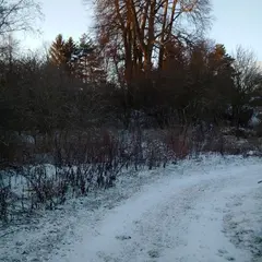 Spoluvl. podíl id. 1/2 pozemků Písečné, k.ú. Slavětín u Slavonic