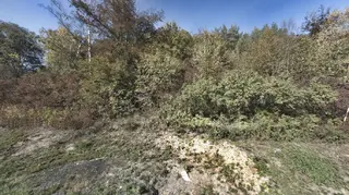 Spoluvl. podíl id 1/4 pozemky Předklášteří