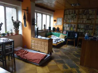 Spoluvl. podíl id. 1/4 RD Leština u Zábřeha