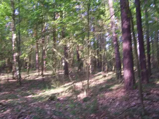 Spoluvlastnický podíl 1/2 na pozemku v k.ú. Žizníkov, SSČK