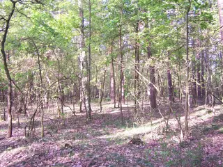 Spoluvlastnický podíl 1/2 na pozemku v k.ú. Žizníkov, SSČK