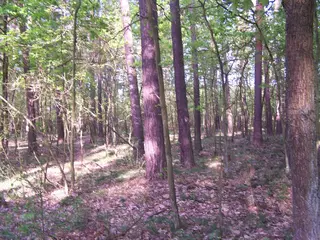 Spoluvlastnický podíl 1/2 na pozemku v k.ú. Žizníkov, SSČK