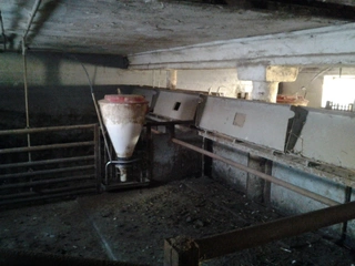 Spoluvlastnický podíl 1/2 Nové Syrovice, okr.Třebíč