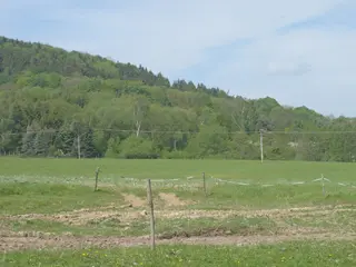 Spoluvlastnický podíl 5/12 na pozemku v k.ú. Huntířov u Děčína, SSČK