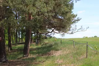 Spoluvlastnický podíl 6/12 na pozemku a stavbě v k.ú. Holany - SSČK